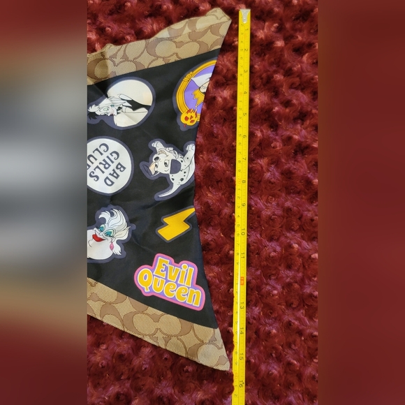 DISNEY × COACH SCARF - Picture 5 of 11